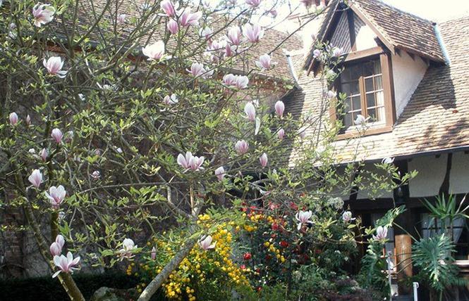 L'Auberge Du Faisan Doré Saint-Florent-le-Jeune Exterior foto